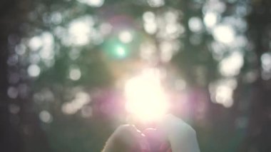 Kollarını güneşe uzatıp ormanda dans eden bir kız. Yüksek kalite 4k görüntü