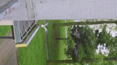 Martı çatıdan ağaca uçuyor, Rani günü, dikey video. Yüksek kalite 4k görüntü