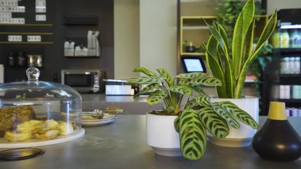 咖啡摊上的饼干和植物 在咖啡店里高质量的4K镜头 — 图库视频影像