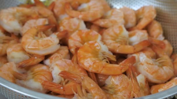 Close Fresh Raw Peeled Prawns Shrimps Seafood Background Slow Motion — Stock Video