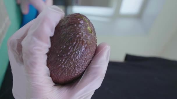Hand Mit Handschuh Avocado Auf Den Tisch Legen Gesunde Kost — Stockvideo