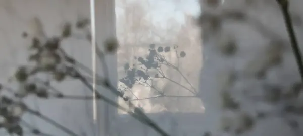 Güzel çingene ya da bebekler pencereye çiçek solur. Minimum iç dekorasyon konsepti yüksek kaliteli fotoğraf.