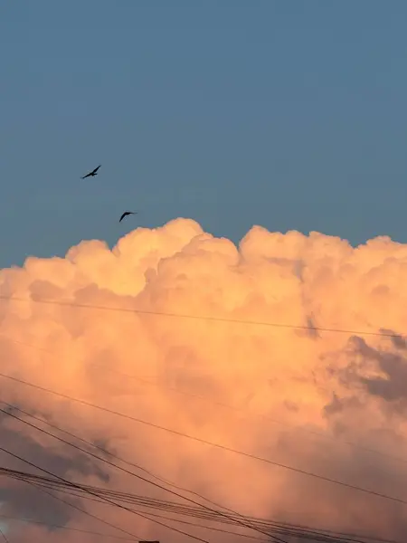 Geniş, bulutlu gökyüzünde kümülüs bulutları ve çeşitli meteorolojik özelliklerle dolu büyük bir kuş grubu zarifçe uçuyor.