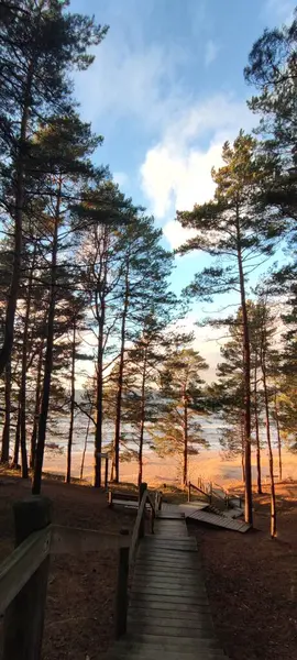 Etrafı çeşitli ağaçlarla çevrili güzel, ahşap bir geçit ziyaretçileri yakınlardaki huzurlu bir su kütlesine götürüyor.
