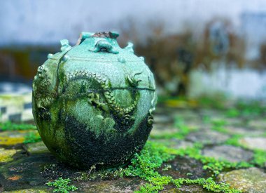 Kırık yeşil bir seramik kavanoz bir evin bahçesinde duruyordu.