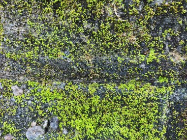 Bali, Endonezya, 23 Ekim 2023: Bali, Endonezya 'da Melasti Plajı - seyahat ve turizm.