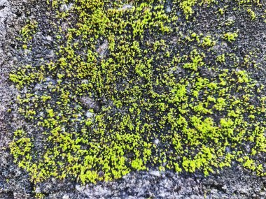 Bali, Endonezya, 23 Ekim 2023: Bali, Endonezya 'da Melasti Plajı - seyahat ve turizm.