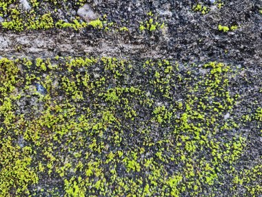 Bali, Endonezya, 23 Ekim 2023: Bali, Endonezya 'da Melasti Plajı - seyahat ve turizm.