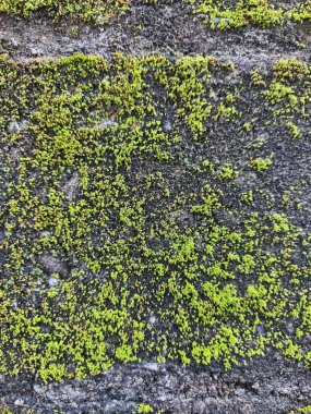 Bali, Endonezya, 23 Ekim 2023: Bali, Endonezya 'da Melasti Plajı - seyahat ve turizm.