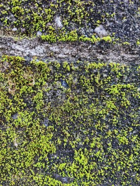 Bali, Endonezya, 23 Ekim 2023: Bali, Endonezya 'da Melasti Plajı - seyahat ve turizm.