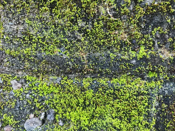 Bali, Endonezya, 23 Ekim 2023: Bali, Endonezya 'da Melasti Plajı - seyahat ve turizm.