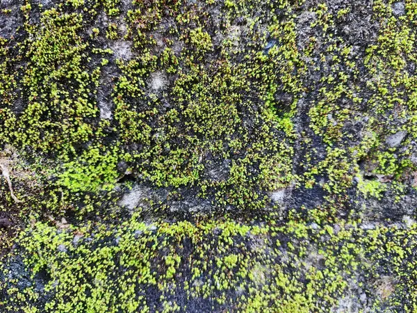 Bali, Endonezya, 23 Ekim 2023: Bali, Endonezya 'da Melasti Plajı - seyahat ve turizm.