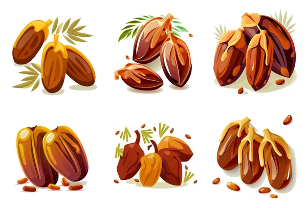 Set Vector Illustration Muslim Ramadan Date Fruit Concept — стоковый вектор