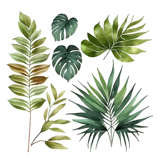 Изолированная Векторная Иллюстрация Экзотических Зеленых Листьев — стоковый вектор