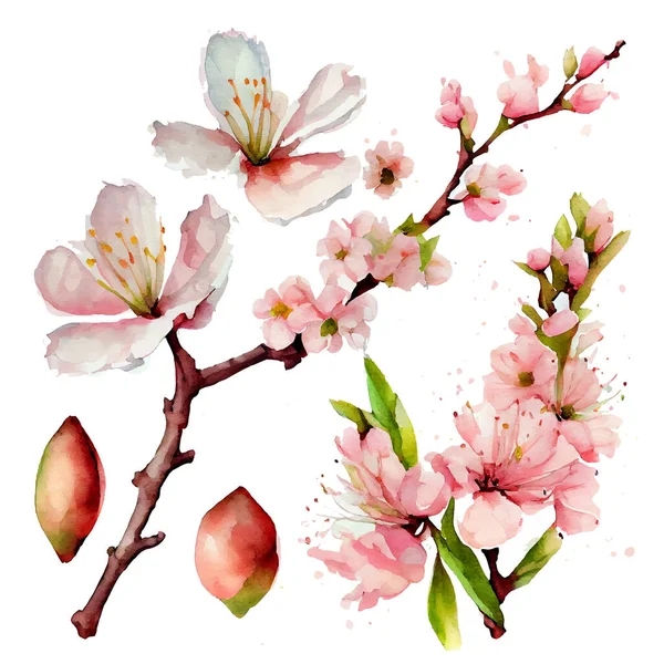 Ilustração Vetorial Árvore Florescente Com Flores Fundo Branco — Vetor de Stock