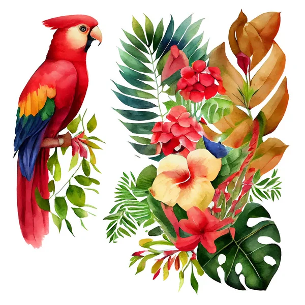 Set Vector Illustration Paradise Parrot Bird Isolated White Background — Stock Vector