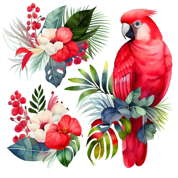 Uppsättning Vektor Illustration Paradiset Papegoja Fågel Isolerad Vit Bakgrund — Stock vektor