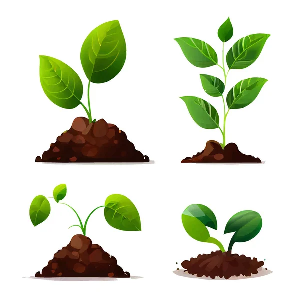 Nastavit Vektorové Znázornění Rostliny Rostoucí Půdě Rukou Izolovat — Stockový vektor