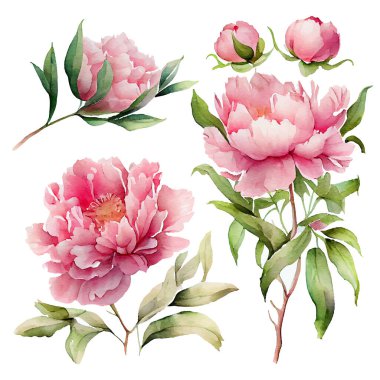 Bahar çiçeklerinin vektör illüstrasyonunu beyaz arkaplan izolasyonuna ayarla