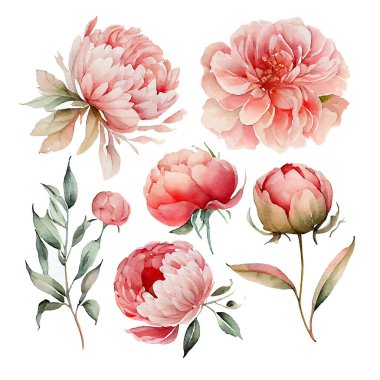 Bahar çiçeklerinin vektör illüstrasyonunu beyaz arkaplan izolasyonuna ayarla