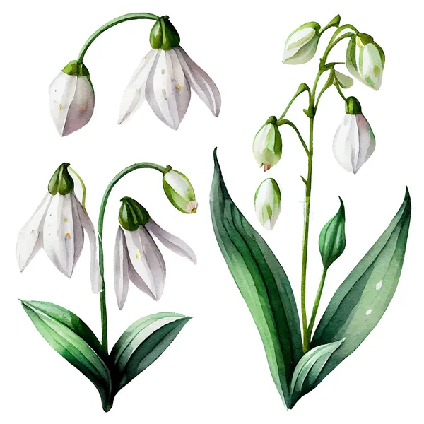 Набір Векторні Ілюстрації Весняної Квітки Ізольовані Білому Фоні — стоковий вектор