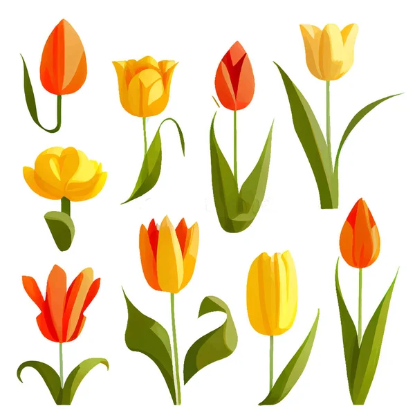 Uppsättning Vektor Illustration Blommande Blommor Isolera Bakgrund Internationella Kvinnodagen Och — Stock vektor