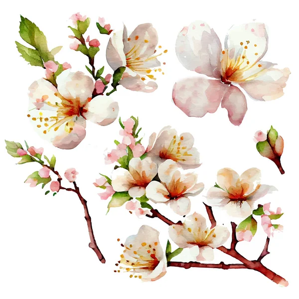 Vektorillustration Des Blühenden Baumes Mit Blumen Auf Weißem Hintergrund — Stockvektor