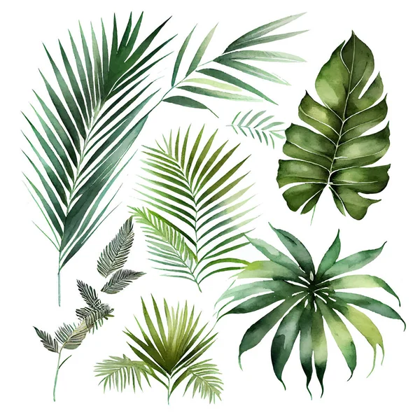 葉の分離集合ベクトル図エキゾチックな緑の大きな葉 — ストックベクタ