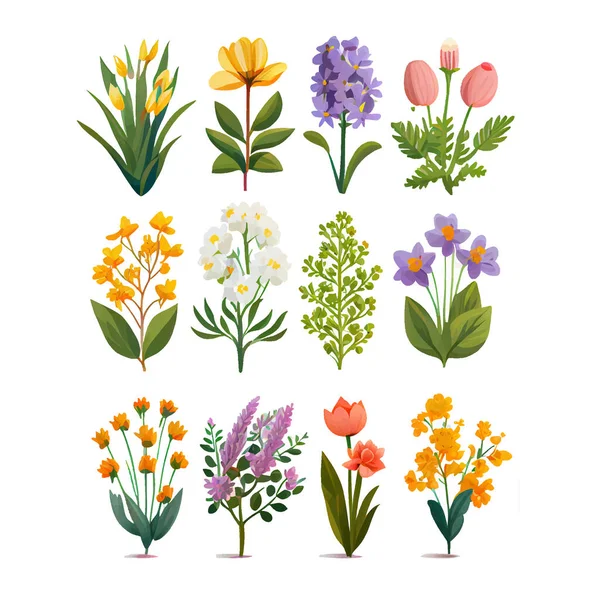 Zestaw Wektor Ilustracja Bloming Kwiaty Izolować Tło Międzynarodowy Dzień Kobiet — Wektor stockowy