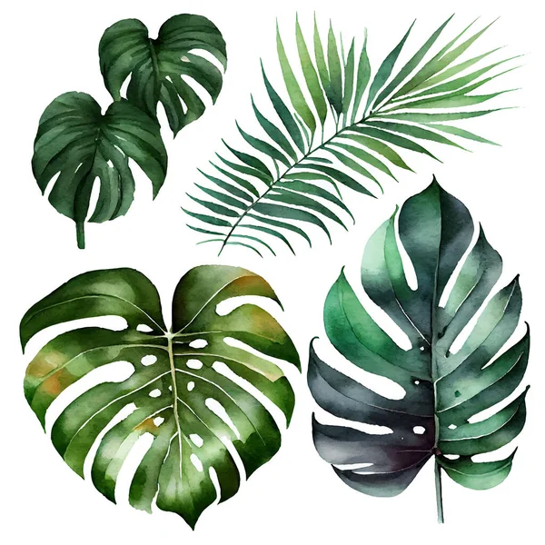 Stock vector isolated set vector illustration of foliage exotic green big leaf .