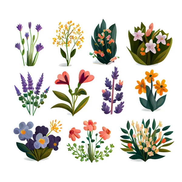 Set Διανυσματική Απεικόνιση Των Λουλουδιών Που Ανθίζουν Απομονώνουν Υπόβαθρο Διεθνής — Διανυσματικό Αρχείο