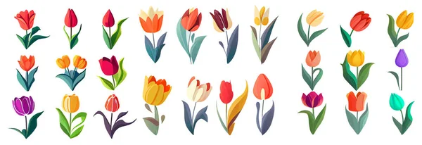 Σύνολο Διανυσματική Απεικόνιση Της Ομάδας Λουλούδι Ισόποση Λευκό Φόντο Έννοια — Διανυσματικό Αρχείο