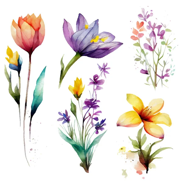 Set Διανυσματική Απεικόνιση Των Λουλουδιών Που Ανθίζουν Απομονώνουν Υπόβαθρο Διεθνής — Διανυσματικό Αρχείο
