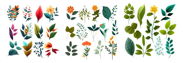 Набор Векторной Иллюстрации Коллекции Элементов Зеленых Листьев Цветов Изолированы — стоковый вектор