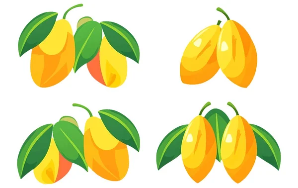 Set Illustrazione Vettoriale Mango Maturo Prugna Isolata Fondo Bianco — Vettoriale Stock