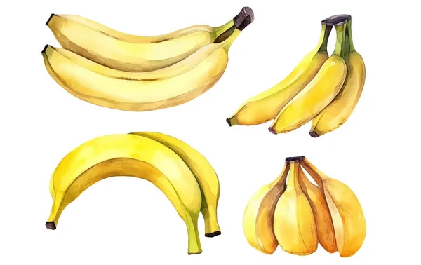 Set Vektor Aquarell Illustration Von Reifen Bananen Isoliert Auf Weißem — Stockvektor