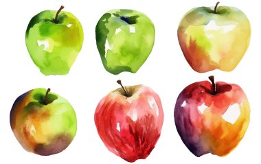 Beyaz arkaplanda izole edilmiş olgun elmanın suluboya çizimini ayarla.