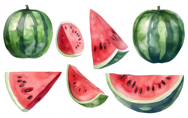 Set Vector Aquarel Illustratie Van Rijpe Watermeloen Geïsoleerd Witte Achtergrond — Stockvector
