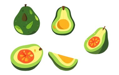 Beyaz arkaplanda izole edilmiş olgun avokadonun vektör resimlemesini ayarla.