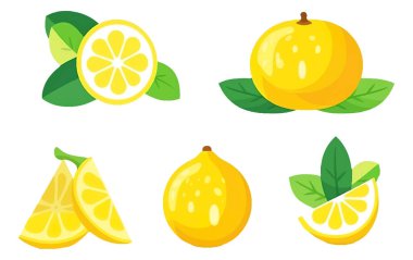 Beyaz arkaplanda izole edilmiş olgun kireç vektör resimlemesini ayarla.