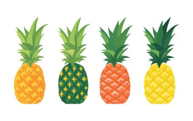 Beyaz arkaplanda izole edilmiş olgun ananasın vektör illüstrasyonunu ayarla.