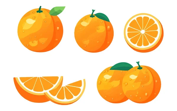 白い背景に孤立した熟したオレンジのセットベクトル図 — ストックベクタ