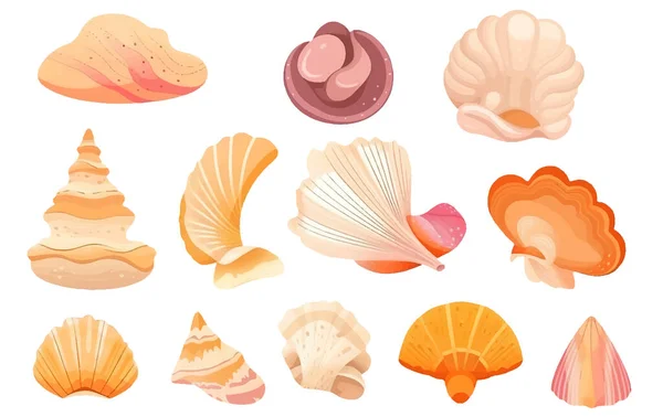 Set Vector Ilustración Diferentes Conchas Colores Del Fondo Del Océano — Vector de stock