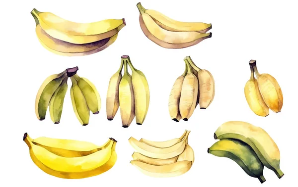 Set Vectoriel Aquarelle Illustration Bananes Mûres Isolées Sur Fond Blanc — Image vectorielle