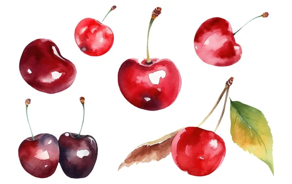 Nastavit Vektorové Ilustrace Akvarel Zralé Červené Třešně Izolované Bílém Pozadí — Stockový vektor