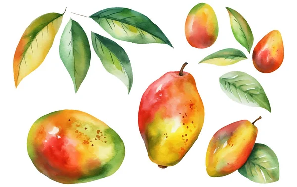 白を基調とした熟したマンゴーや梅の水彩画をセット — ストックベクタ