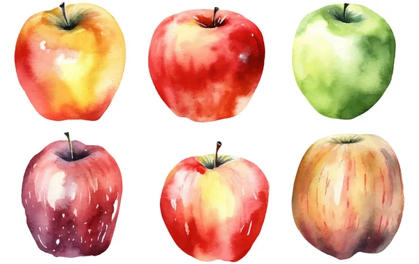 白を基調とした熟したリンゴのセットベクトル水彩イラスト — ストックベクタ