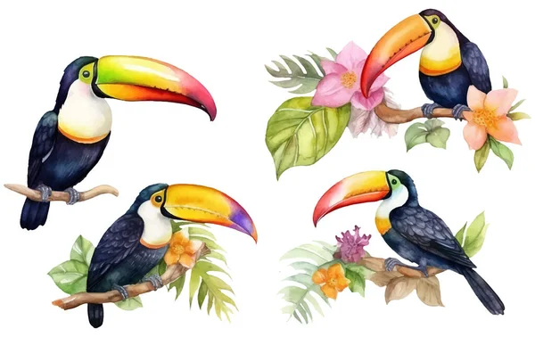 stock vector watercolor set illustration of toucan bird among the tropical leaves isolated on white background.