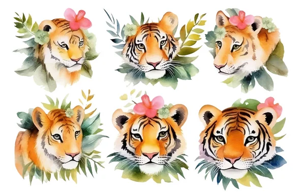 Watercolor Set Illustration Wild Cats Lion Tiger Isolated White Background — Stock Vector