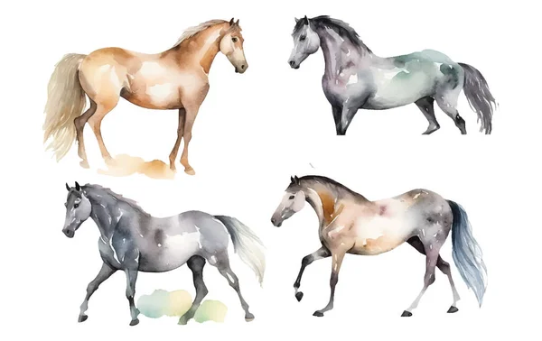 Stock vector watercolor set vector illustration of horse isolsated on white background.